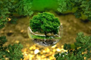 Image of a tree within a broken glass orb.